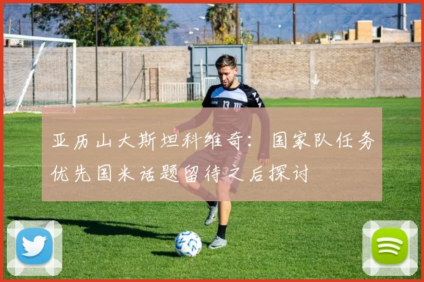 亚历山大斯坦科维奇：国家队任务优先国米话题留待之后探讨