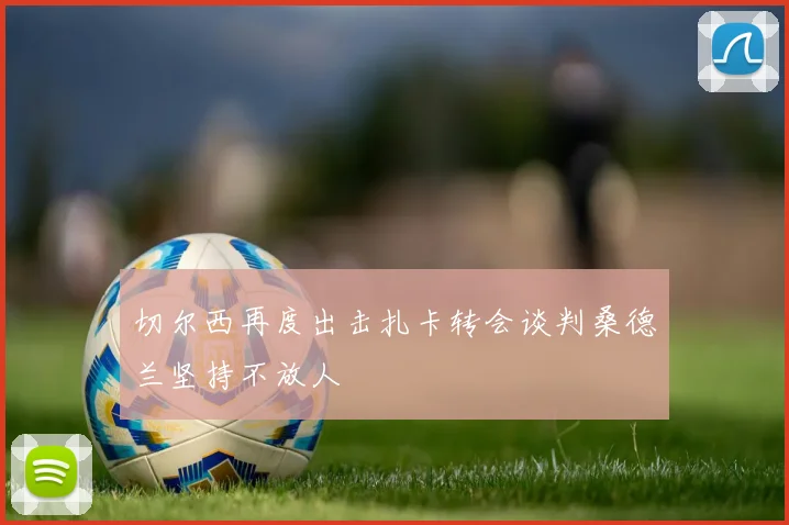切尔西再度出击扎卡转会谈判桑德兰坚持不放人